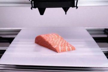 O primeiro salmão vegano produzido em 3D agora está disponível nas prateleiras dos supermercados europeus.