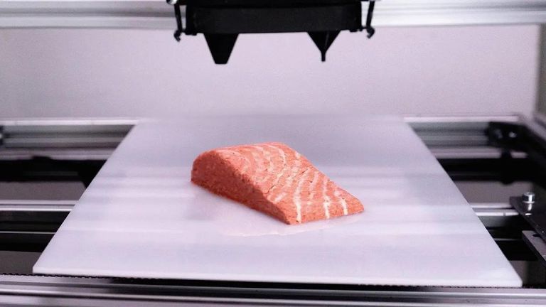 O primeiro salmão vegano produzido em 3D agora está disponível nas prateleiras dos supermercados europeus.