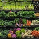 Alimentos à Base de Plantas: Diferenciando entre Vegetais e Carne. Uma Realidade Incontestável?