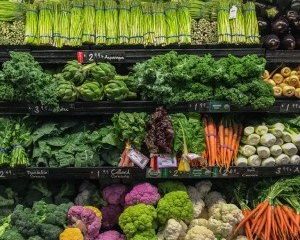 Alimentos à Base de Plantas: Diferenciando entre Vegetais e Carne. Uma Realidade Incontestável?